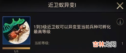 小小蚁国初期进化选择什么类型