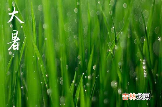2023年大暑在中伏前吗
