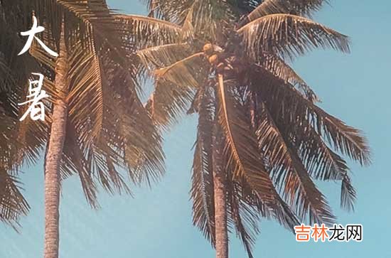 今年大暑几点几分2023