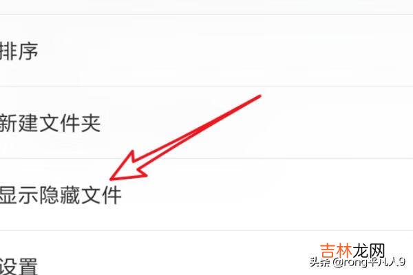 手机隐藏文件夹怎么显示(手机隐藏文件夹怎么显示oppo)