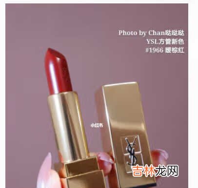 ysl1966好看吗_ysl1966试色