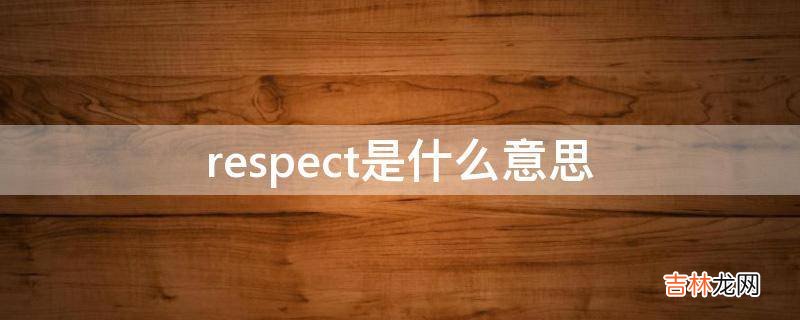 respect是什么意思?