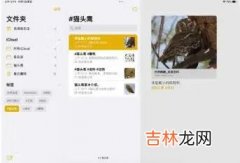 ios15截屏怎么截（ios15截屏快捷方式)