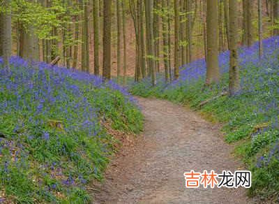 奔腾处理器和i5哪个好-英特尔奔腾处理器和酷睿i5处理器哪个好
