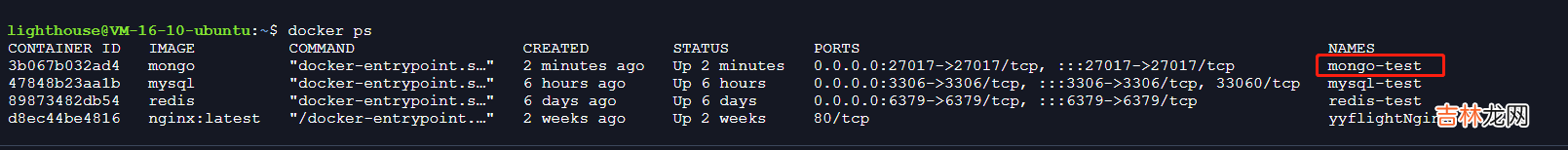 Docker安装MongoDB并使用Navicat连接