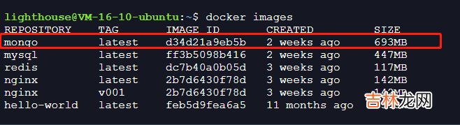 Docker安装MongoDB并使用Navicat连接