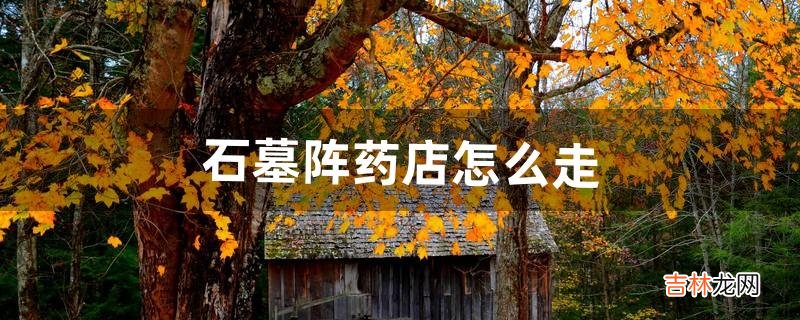 石墓阵药店怎么走(石墓武器店怎么出去)