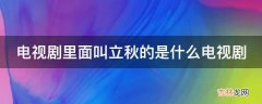 电视剧里面叫立秋的是什么电视剧?