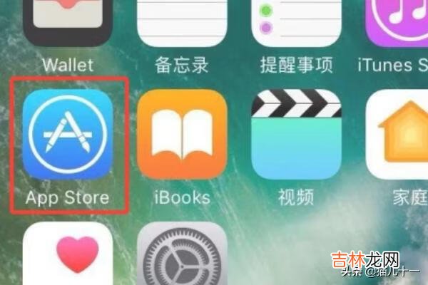 苹果手机如何下载应用app（苹果怎么禁止下载app)