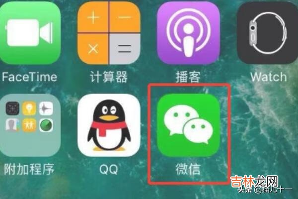 苹果手机如何下载应用app（苹果怎么禁止下载app)