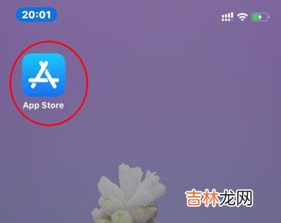 iphone13第一次怎么下软件（iphone 13怎样安装app)