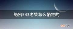 绝密543老柴怎么牺牲的?