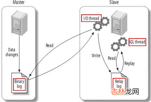 01-MySQL8主从详解