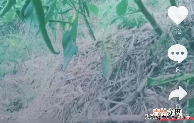 抖音动态锁屏怎么设置（抖音很火的电脑动态屏保)