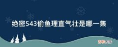 绝密543偷鱼理直气壮是哪一集?