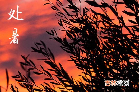 今年处暑的具体时间2023