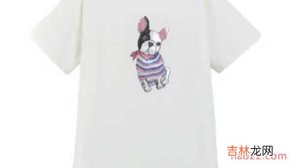 孕妇T恤什么牌子好？孕妇T恤十大品牌排行榜