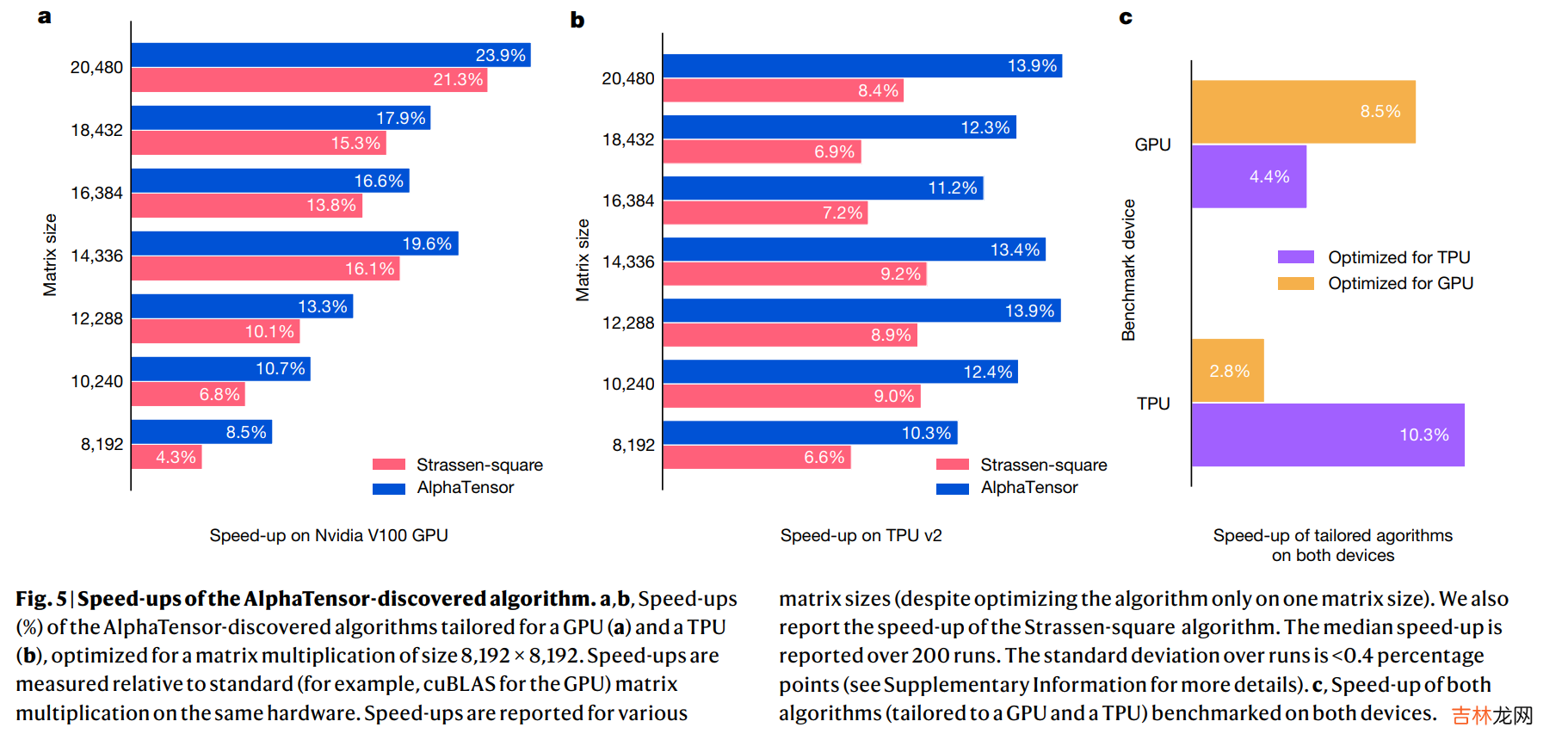 AlphaTensor论文阅读分析