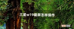 三星w19截屏怎样操作（三星w20截屏怎么操作)