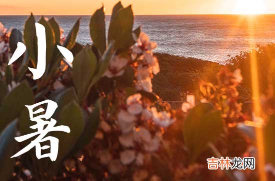 小暑节气，民间有吃“三宝＂的习俗