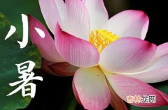 民谚“大暑小暑，有米懒煮”形容的是暑热时节？