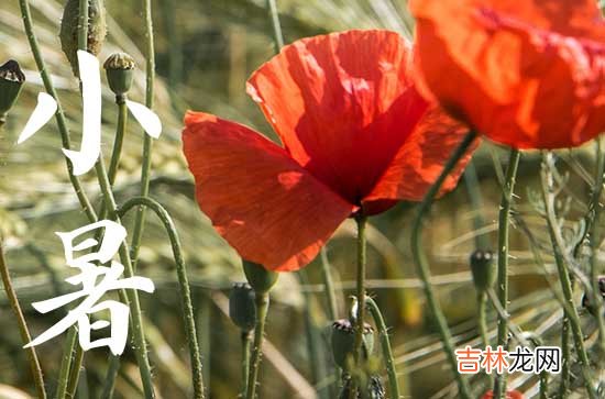 2023年小暑是哪一天