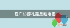 程广杉薛礼燕是啥电视?