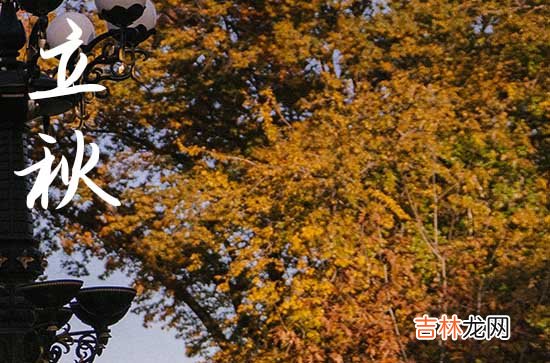 2023年立秋的具体时间
