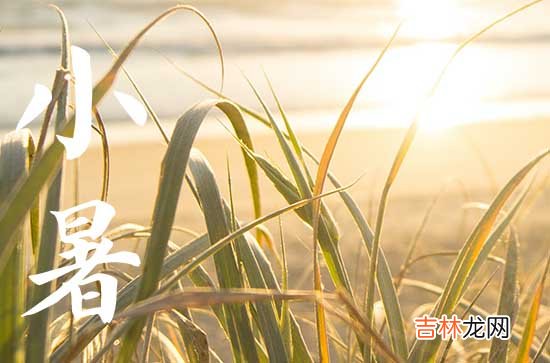 2023年小暑是入伏的第一天吗