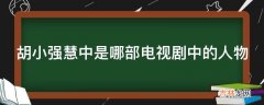 胡小强慧中是哪部电视剧中的人物?