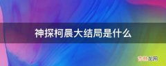 神探柯晨大结局是什么?