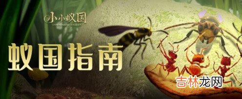 小小蚁国新手开局怎么发展