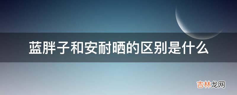 蓝胖子和安耐晒的区别是什么?