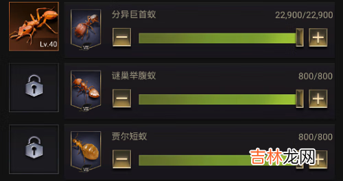 小小蚁国兵种怎么搭配