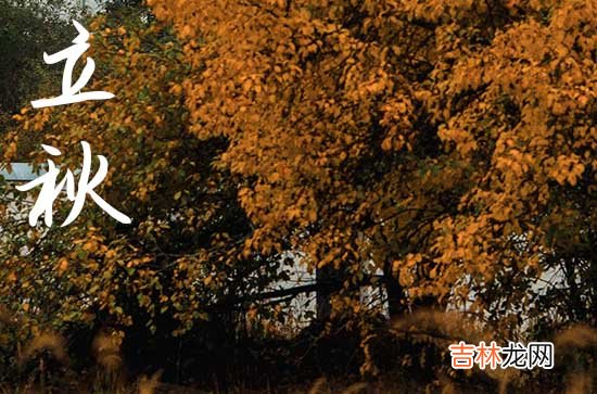 立秋节气问候语