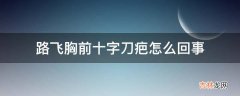 路飞胸前十字刀疤怎么回事?