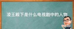 凌王殿下是什么电视剧中的人物?