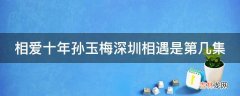 相爱十年孙玉梅深圳相遇是第几集?