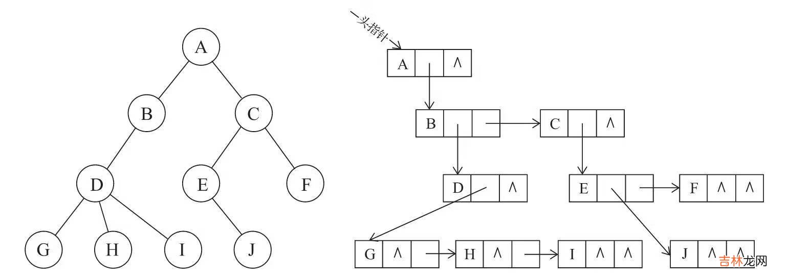 树的邻接矩阵、双亲孩子表示法…… C++ 不知树系列之初识树