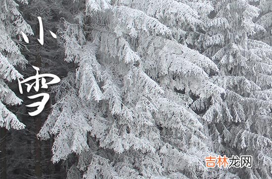 集锦15篇 小雪节气的祝福语