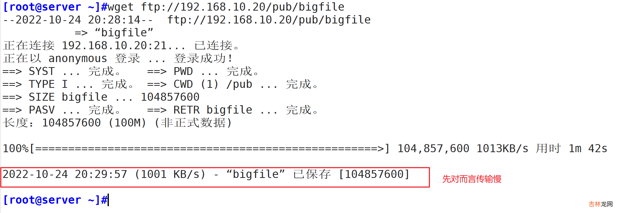 FTP文本传输协议