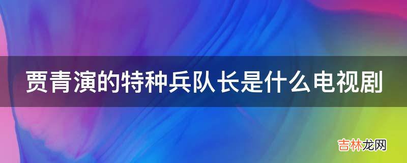 贾青演的特种兵队长是什么电视剧?