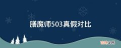 膳魔师503真假对比?