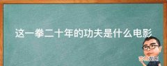 这一拳二十年的功夫是什么电影?