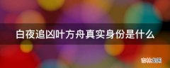 白夜追凶叶方舟真实身份是什么?