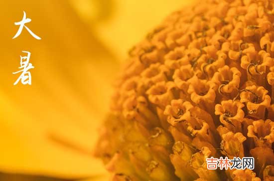 2023年大暑是几月几号开始到结束 2023大暑到几号为止