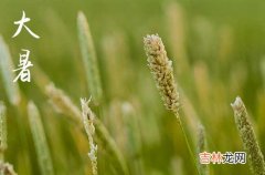 2023大暑过后还要热多久 大暑过后还会热吗