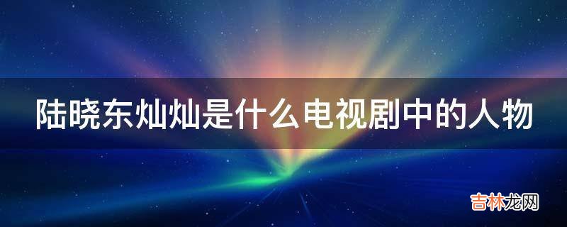 陆晓东灿灿是什么电视剧中的人物?