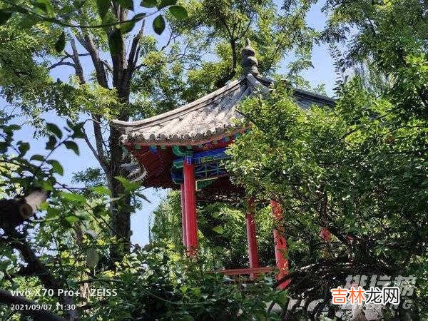 vivox70pro+拍照怎么样_vivox70pro+拍照效果测评