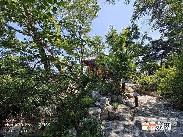 vivox70pro+拍照怎么样_vivox70pro+拍照效果测评